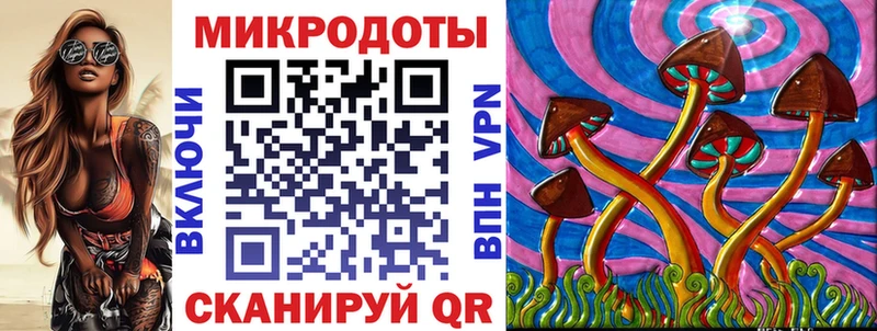 Псилоцибиновые грибы Psilocybine cubensis  Кохма 